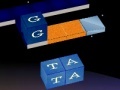 WordKnot