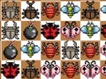 Match the Bugz