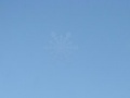 Hidden Snowflakes