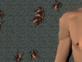 Cockroach dream