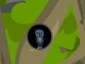 Woodland Escape