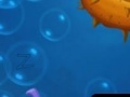 Fish Alphabet