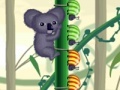 Koala vs Bugs