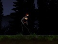 Shadow of the Ninja