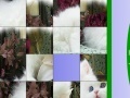 Sweet White Cat Slide Puzzle