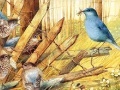 Art Painting Bird Puzzles