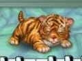 My tiger