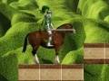 Adventures Of Knight