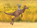 Outback Winds