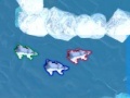 Polar Bear Racing