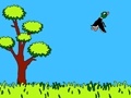 Hunter on ducks