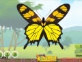 Colorful butterfly designer