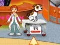 Dr. Daisy Pet Vet