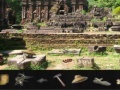 Vietnam's Quest