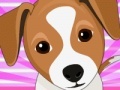 Feed cute puppies