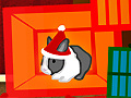 Save the Bunny