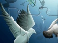 Pigeons Puzzle