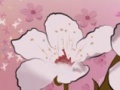 Spring Flowers
