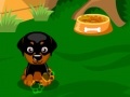 Sweet Dog