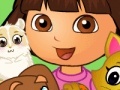 Dora pets care