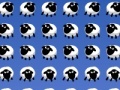 Sheep invaders