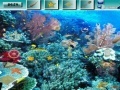 Underwater World G2R