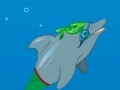 My Dolphin show