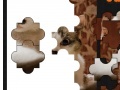 beautiful Cat jigsaw puzzle