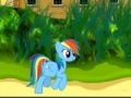 Rainbow Dash Sprint