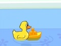 Duck in a small pool