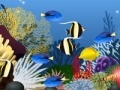 Fish tank decoration