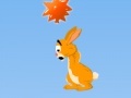 Hopi: The Jumping Rabbit