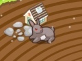 Village of rabbits