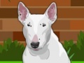 Dress up Bull Terrier Dog