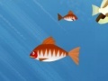 Hungry Piranha