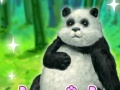 Cheerful Panda