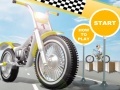 Stunt Acrobat