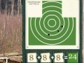Sharpshooter. The pistol.