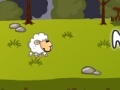 Funny sheep