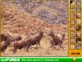 Hidden Spots Animals