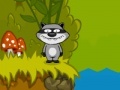 Raccoon's Towel