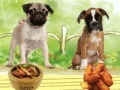 Puppies meal time