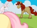 Unicorn care