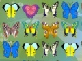 Butterfly Fields