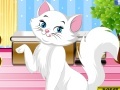 Precious Little Kitty