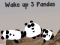 3 panda 2 night