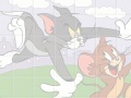 Tom in pursuit of Jerry