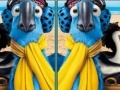 Rio, spot the difference