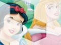 All of the Disney Princess