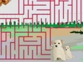 Maze Game Play 39
